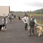 Hunde
