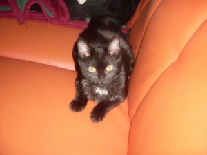 chila1