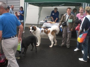 Sommerfest2011 1