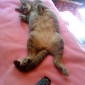 DSC00721