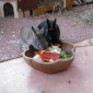 DSCF1264