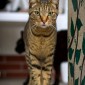 IMG_3600_web