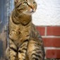 IMG_3673_web