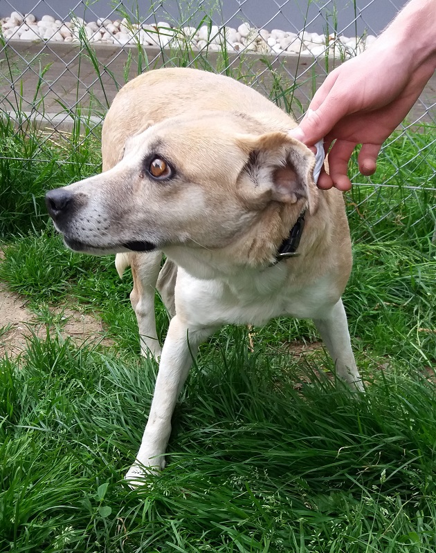 Dagmar « Tierheim Cappel Marburg